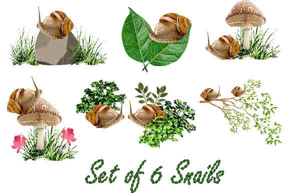 A Set of 6 Snails: A Practical Framework for Deliberate Workflow and Consistent Progress